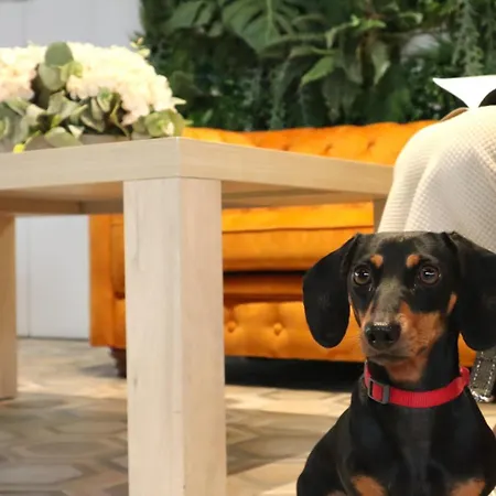 Neptuno * Калелья