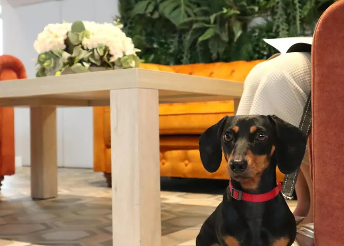 Neptuno 3* Калелья